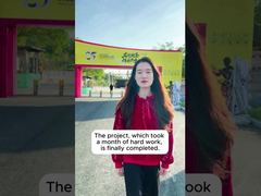 শুন্ডে ব্রুস লি প্রজেক্ট কেস