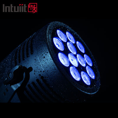 12*20W RGBWA+UV 6in1 LED Par Light IP65 আউটডোর ওয়াটারপ্রুফ DMX512 বিয়ের ডিজে পার্টির জন্য স্টেজ আপলাইটিং