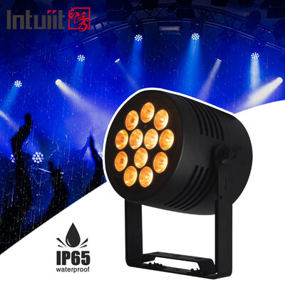 12*20W RGBWA+UV 6in1 LED Par Light IP65 আউটডোর ওয়াটারপ্রুফ DMX512 বিয়ের ডিজে পার্টির জন্য স্টেজ আপলাইটিং