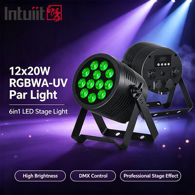 12*20W RGBWA+UV 6in1 LED Par Light IP65 আউটডোর ওয়াটারপ্রুফ DMX512 বিয়ের ডিজে পার্টির জন্য স্টেজ আপলাইটিং