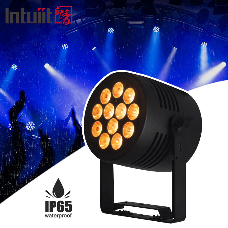 12*20W RGBWA+UV 6in1 LED Par Light IP65 আউটডোর ওয়াটারপ্রুফ DMX512 বিয়ের ডিজে পার্টির জন্য স্টেজ আপলাইটিং