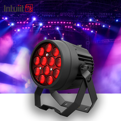 পেশাদার অ্যালুমিনিয়াম স্টেজ লাইট 12x10W 4IN1 LED Par For Dj Party Club Stage Lighting